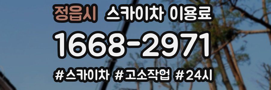 정읍시 스카이차 이용료