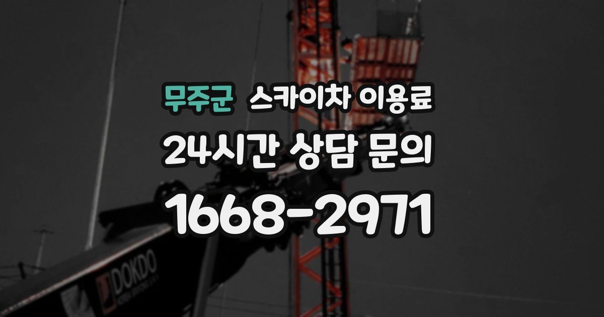 무주군 스카이차 이용료