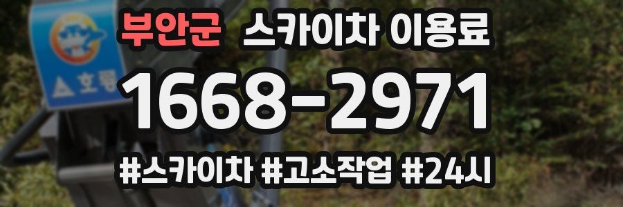 부안군 스카이차 이용료