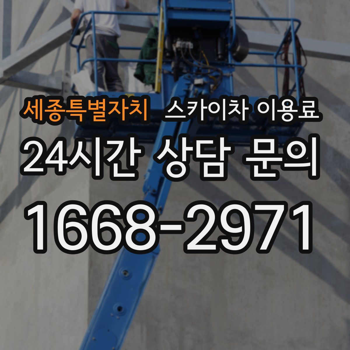 세종특별자치 스카이차 이용료