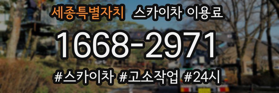 세종특별자치 스카이차 이용료
