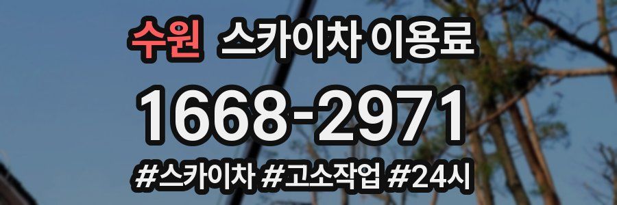 수원 스카이차 이용료