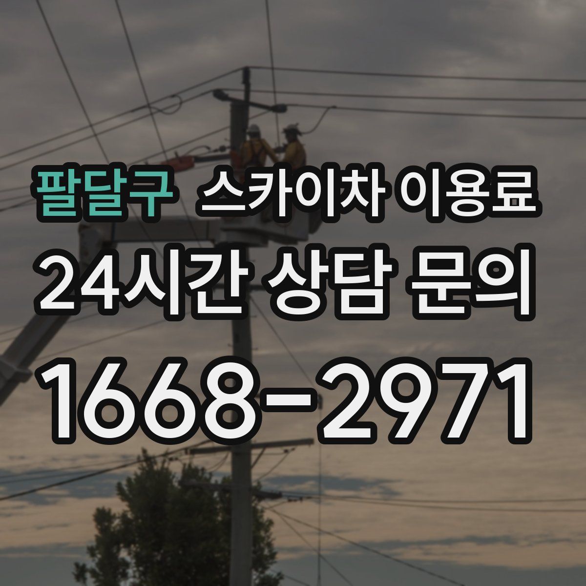 팔달구 스카이차 이용료