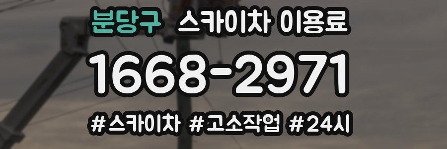 분당구 스카이차 이용료