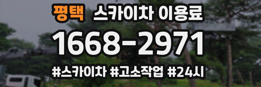 평택 스카이차 이용료