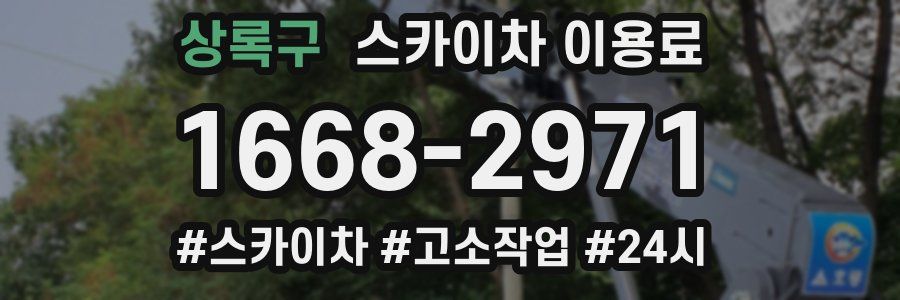 상록구 스카이차 이용료