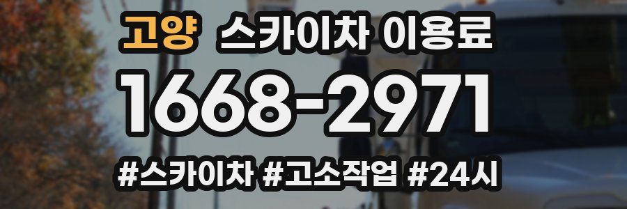 고양 스카이차 이용료