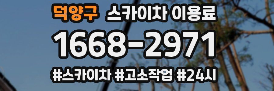 덕양구 스카이차 이용료
