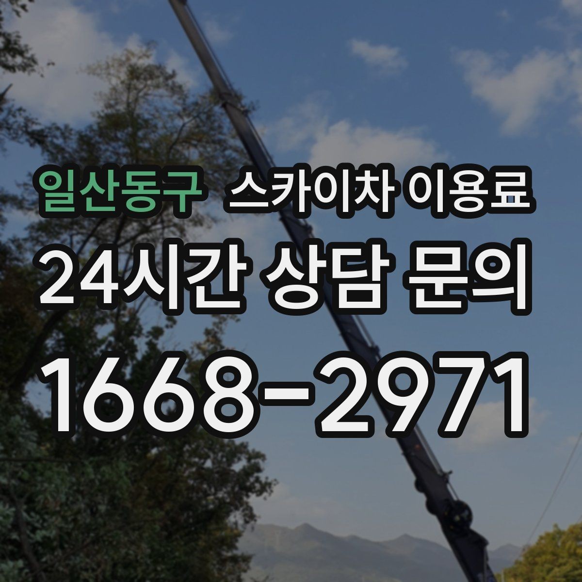 일산동구 스카이차 이용료 비교 시 서비스 차이 확인하기