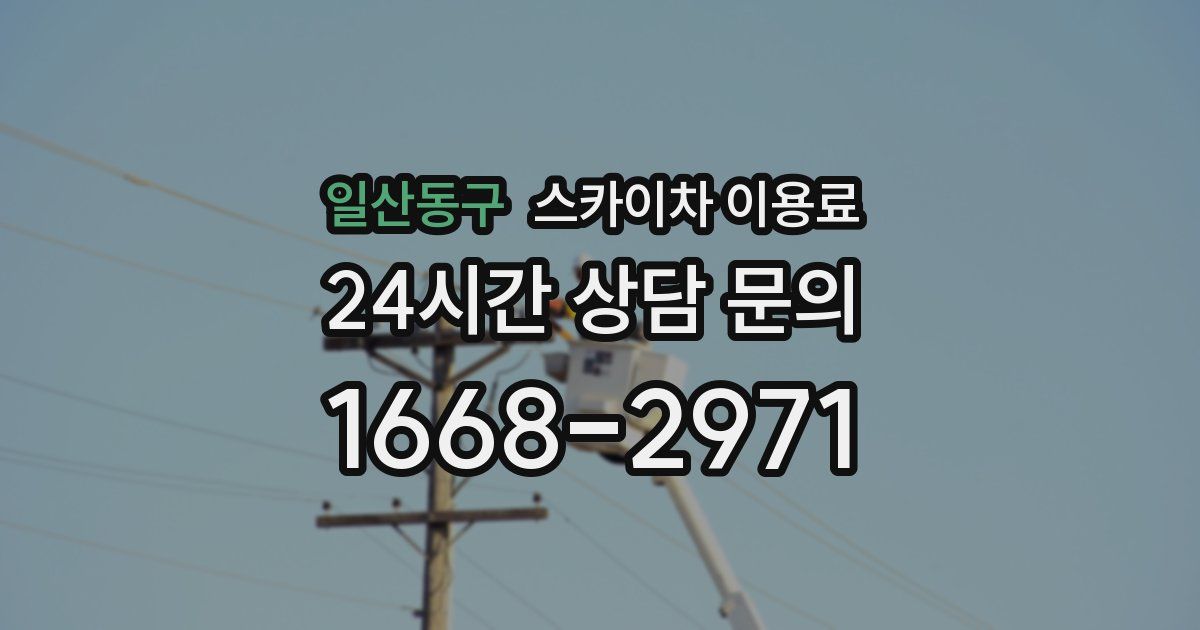 일산동구 스카이차 이용료