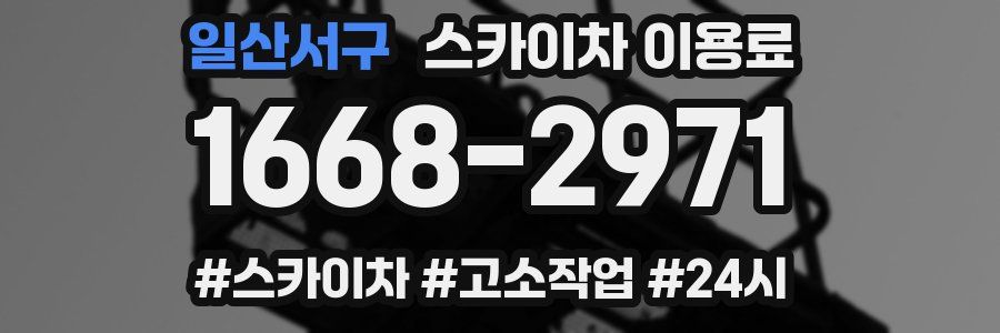 일산서구 스카이차 이용료