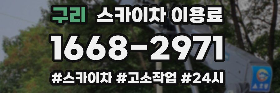 구리 스카이차 이용료