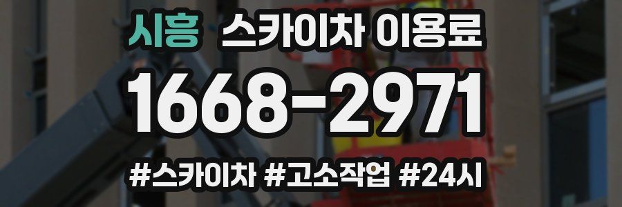 시흥 스카이차 이용료