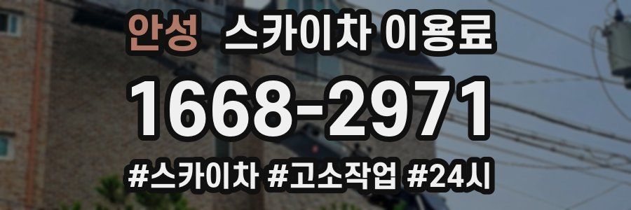 안성 스카이차 이용료