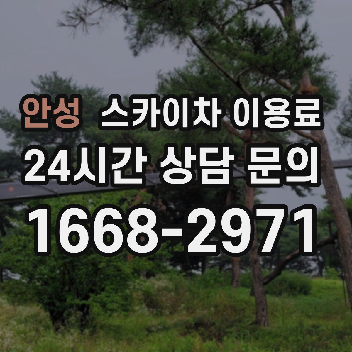 안성 스카이차 이용료