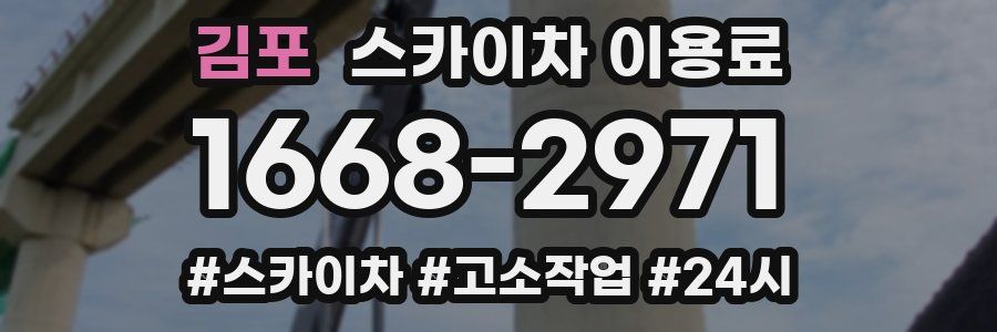 김포 스카이차 이용료