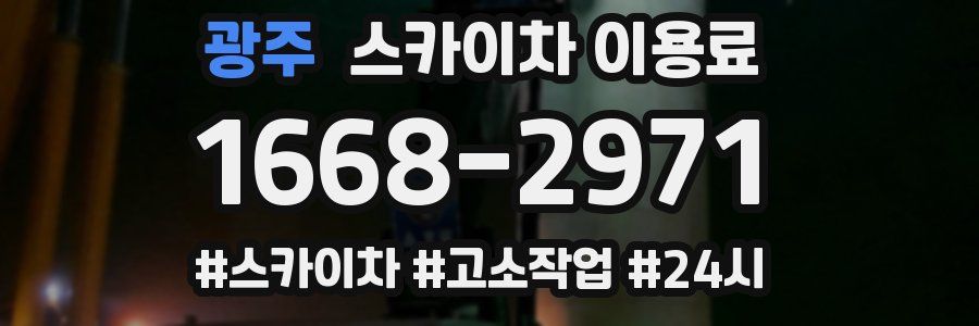 광주 스카이차 이용료