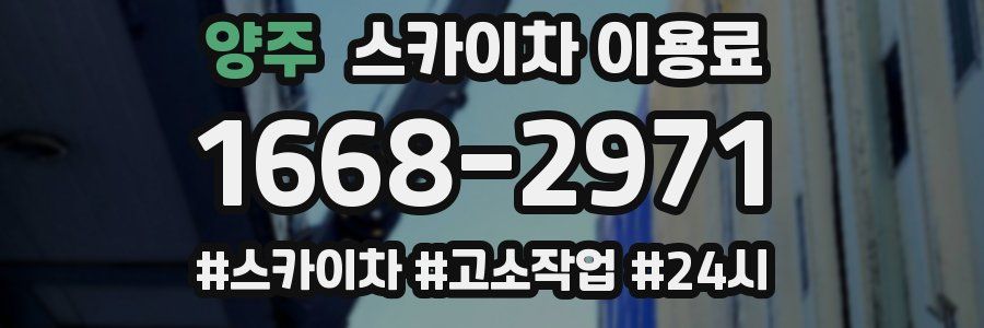 양주 스카이차 이용료