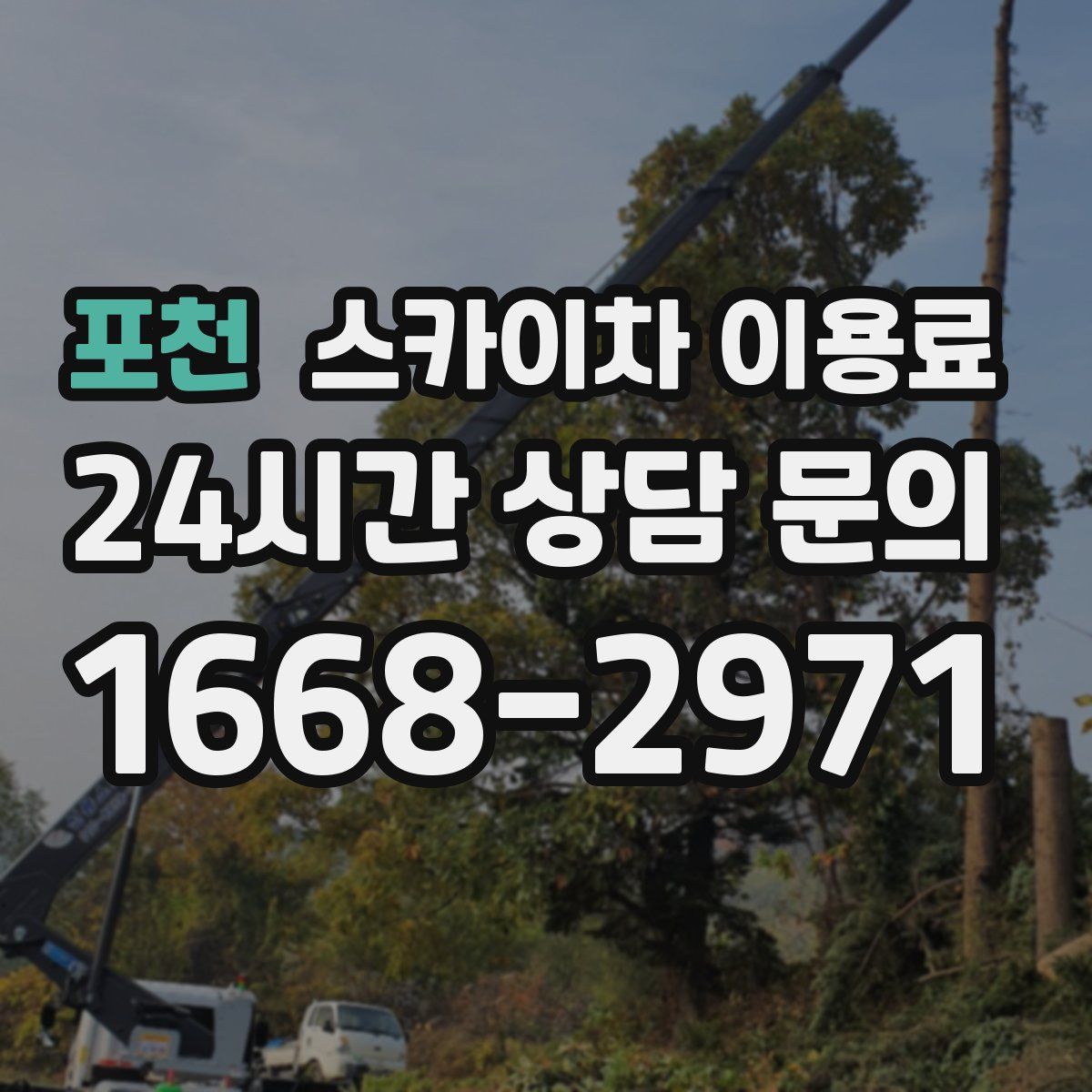 포천 스카이차 이용료