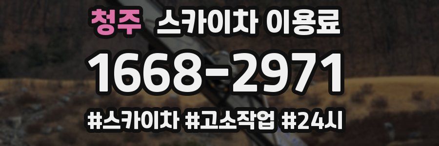 청주 스카이차 이용료