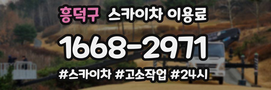 흥덕구 스카이차 이용료