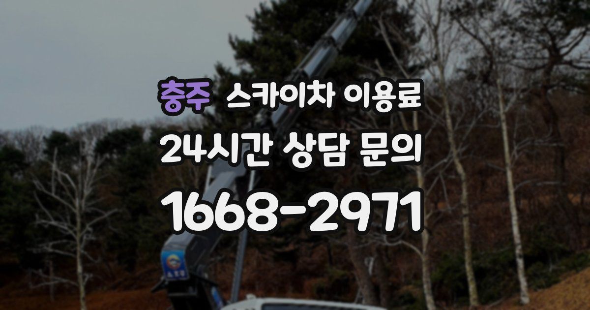 충주 스카이차 이용료