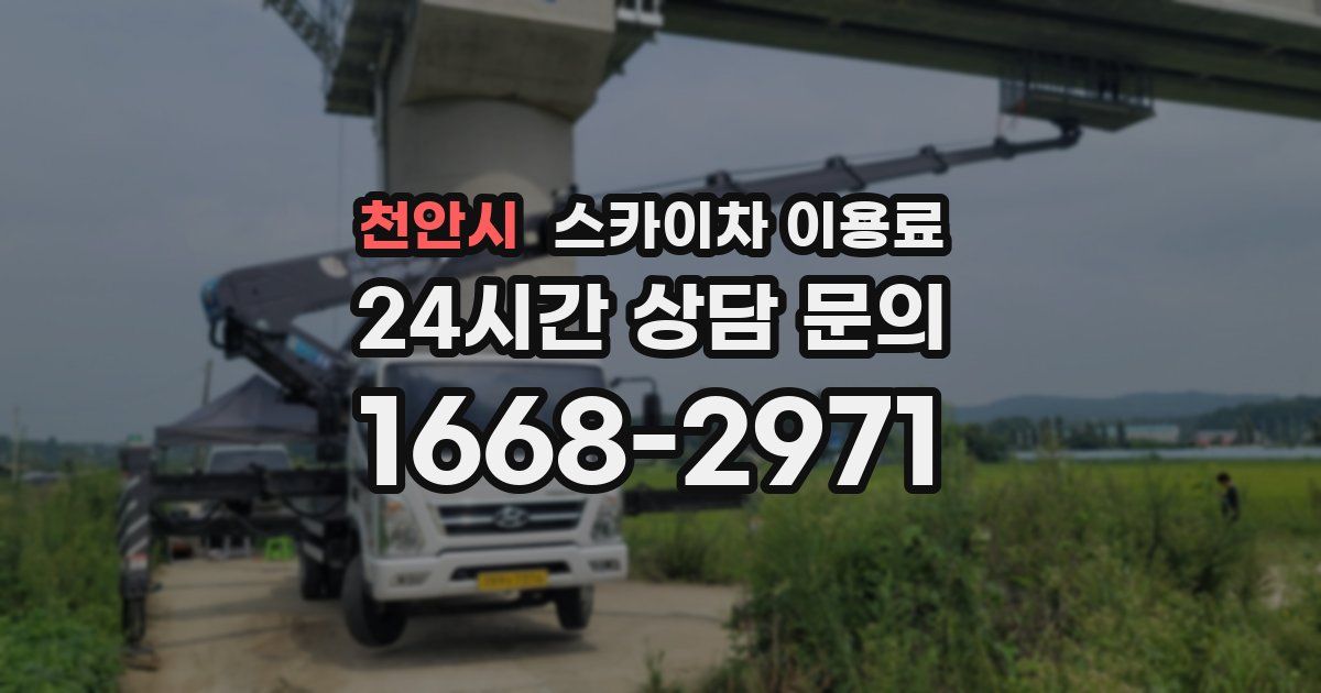 천안시 스카이차 이용료