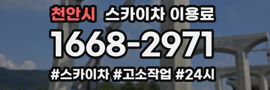 천안시 스카이차 이용료
