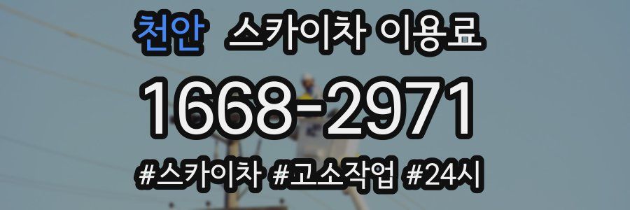 천안 스카이차 이용료