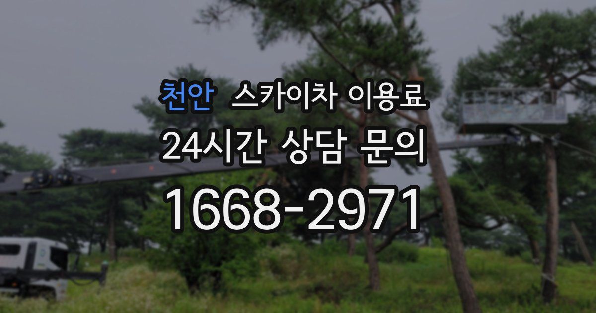 천안 스카이차 이용료