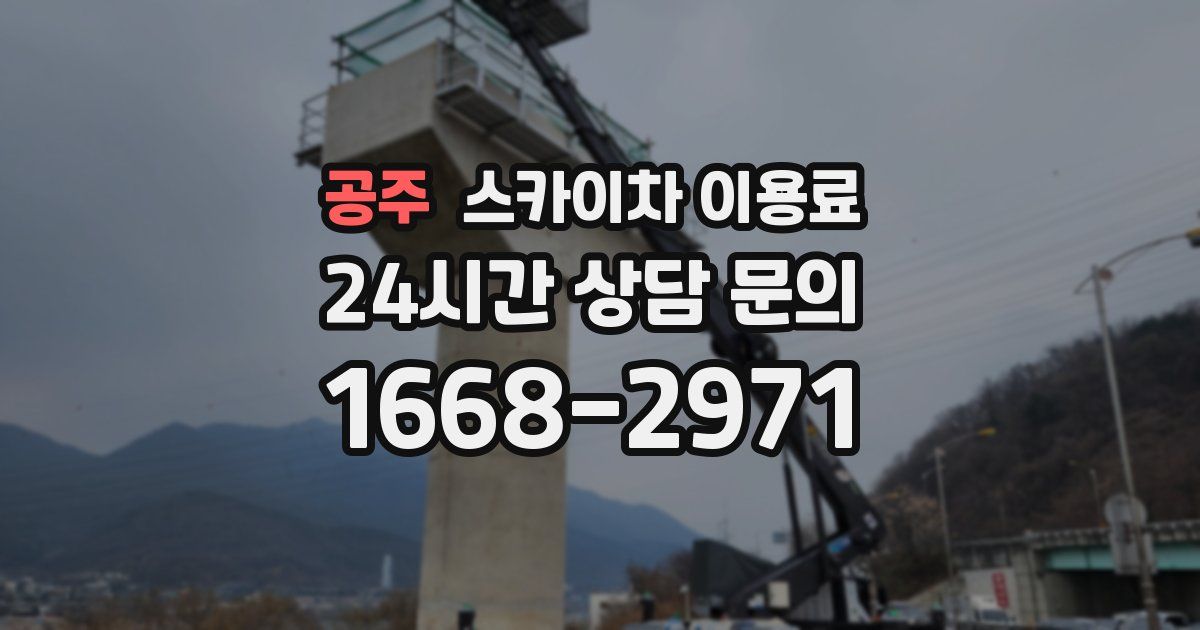 공주 스카이차 이용료