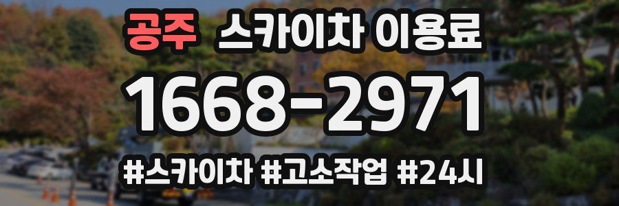 공주 스카이차 이용료