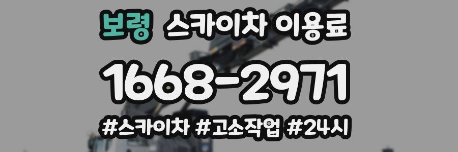 보령 스카이차 이용료