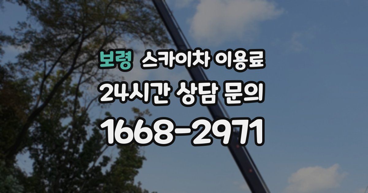 보령 스카이차 이용료