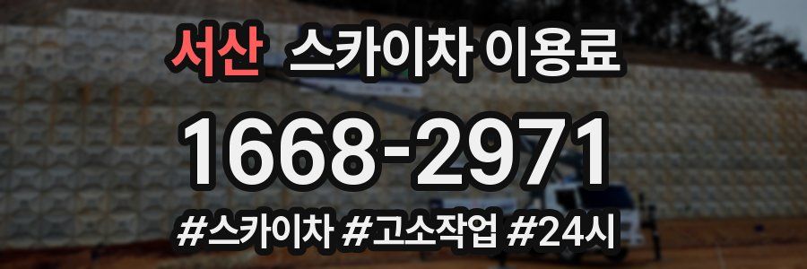서산 스카이차 이용료
