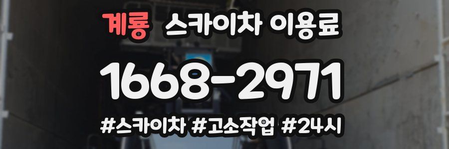 계룡 스카이차 이용료