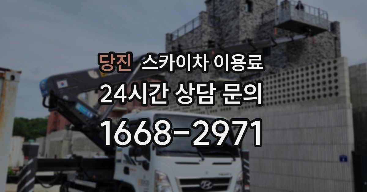 당진 스카이차 이용료