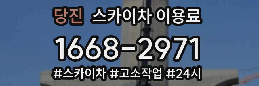 당진 스카이차 이용료