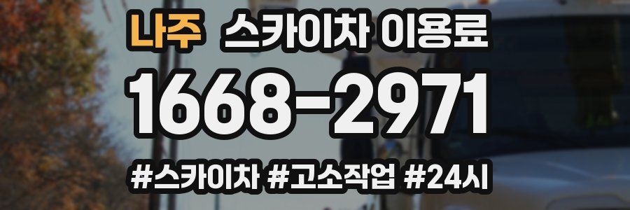 나주 스카이차 이용료