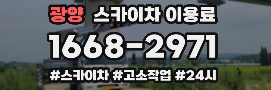 광양 스카이차 이용료