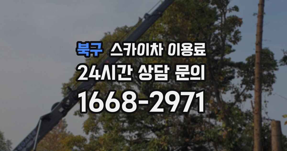 북구 스카이차 이용료