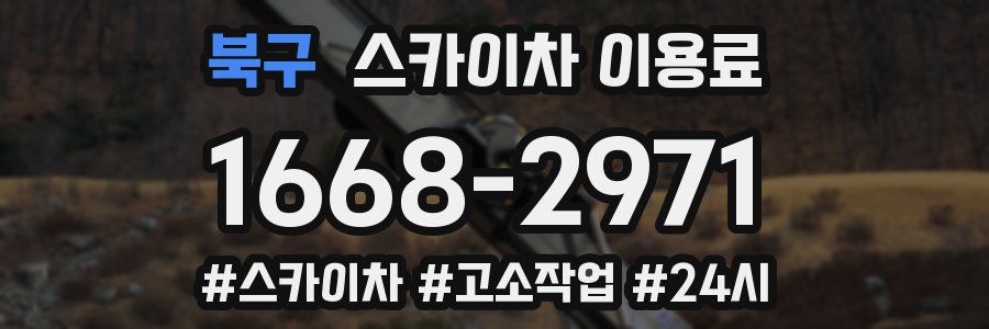 북구 스카이차 이용료