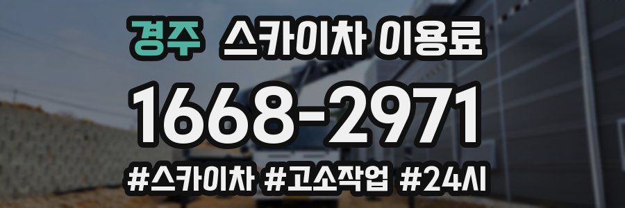경주 스카이차 이용료
