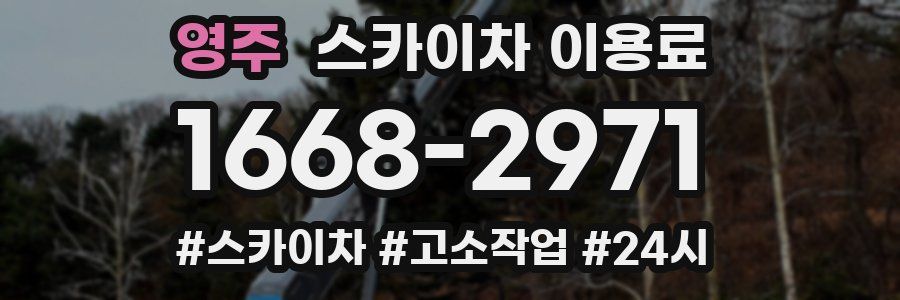 영주 스카이차 이용료