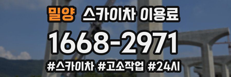 밀양 스카이차 이용료