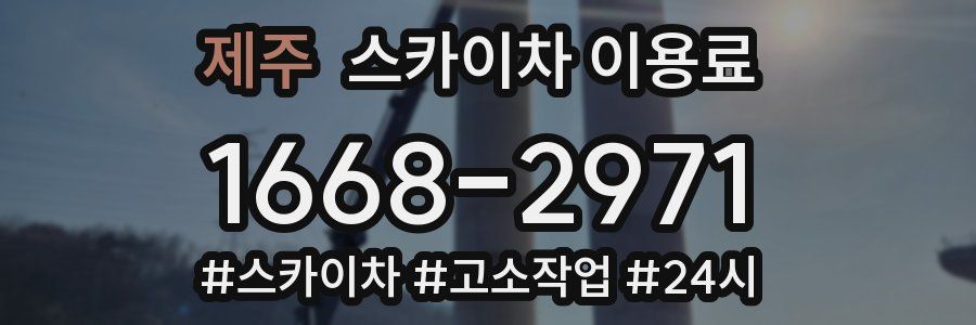 제주 스카이차 이용료