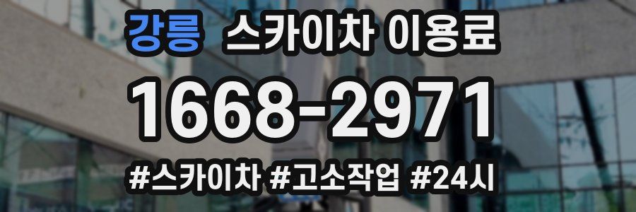 강릉 스카이차 이용료