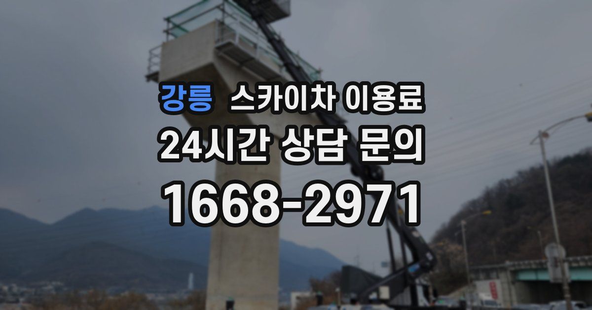 강릉 스카이차 이용료