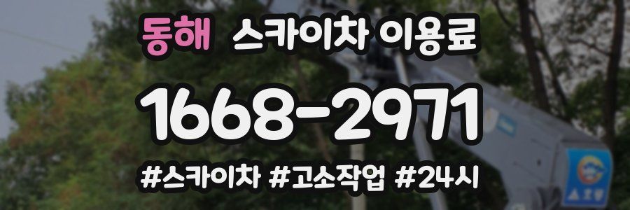 동해 스카이차 이용료