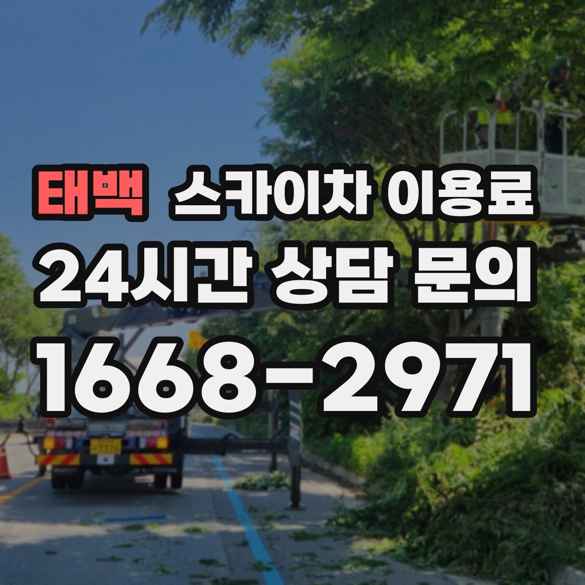 태백 스카이차 이용료